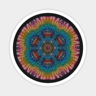 Psychedelic Kaleidoscopic Multi-Color Mandala Number 1 Circle Magnet