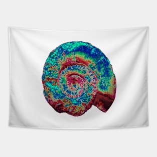 Ammonite Tapestry