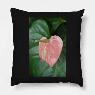 Anthurium Pillow