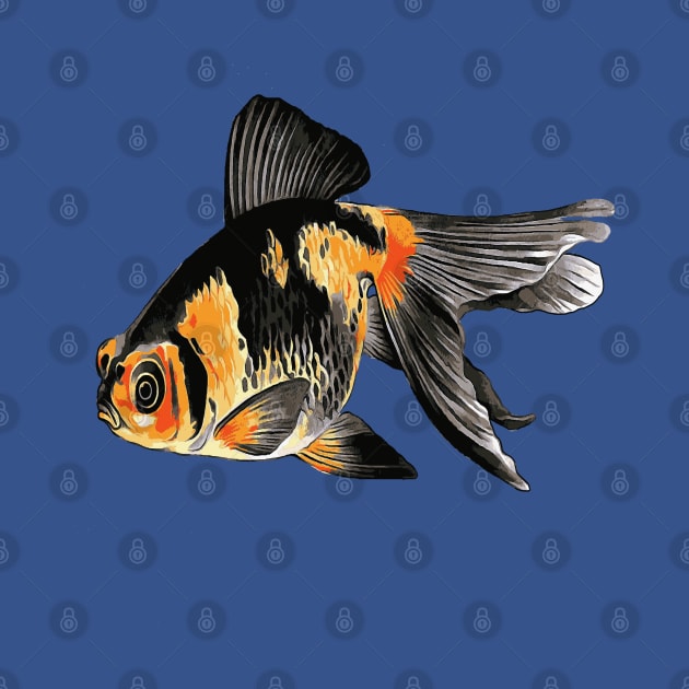 Ranchu Demekin Goldfish With Telescopic Eyes by taiche