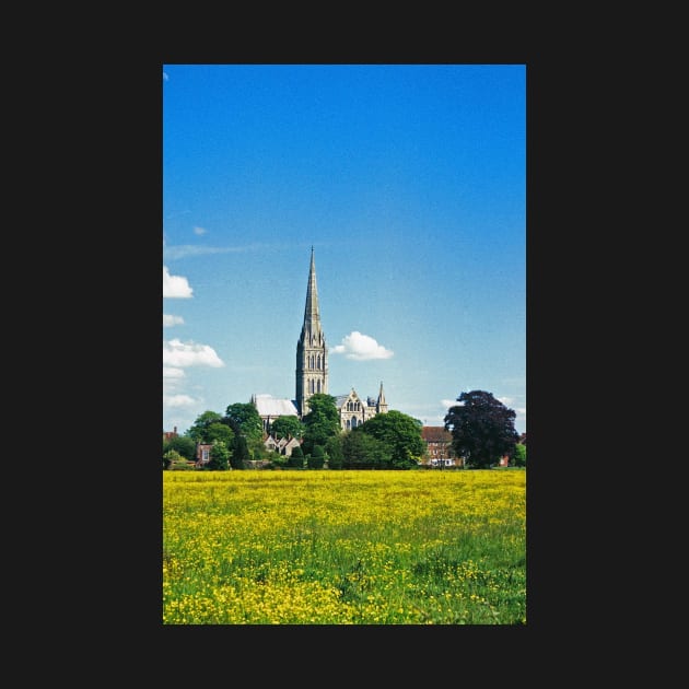 Salisbury Cathedral by MarkRBowman