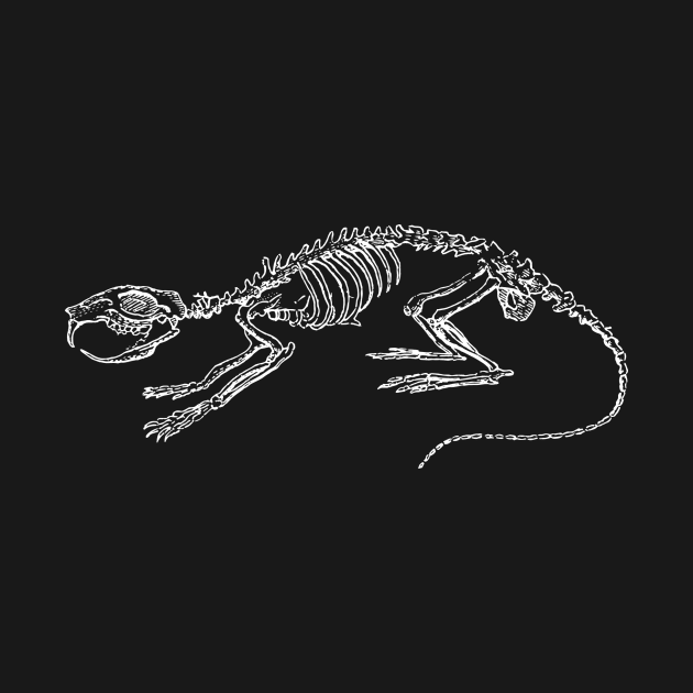 Rat Skeleton by tommartinart