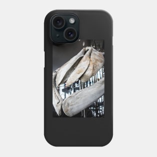 Unique street photography of Remnant of a Giant Phone Case