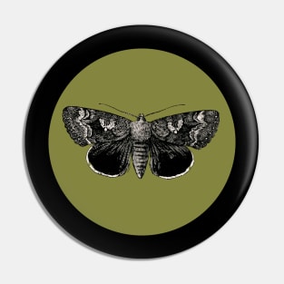 Halloween Moth, Omens, Portents, Signs, and Fortunes - Moss Green and Black Variation Pin