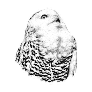 Snowy owl T-Shirt