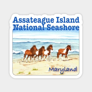 Assateague Island National Seashore Magnet