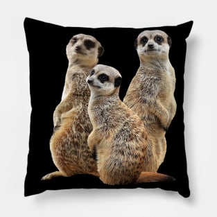 Funny Meerkat - Mongoose in Africa Pillow