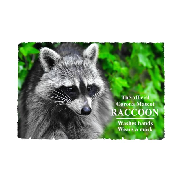 Corona mascot - Raccoon by DeVerviers