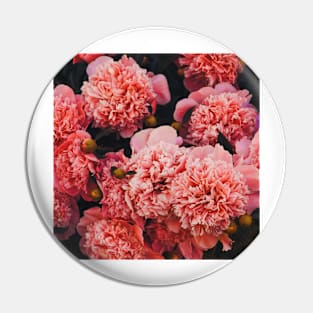 Pink Carnations Pin