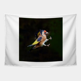 European goldfinch (Carduelis carduelis) Tapestry