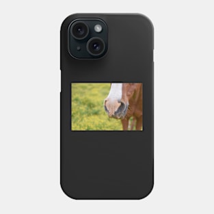 horse muzzle in yellow field Phone Case