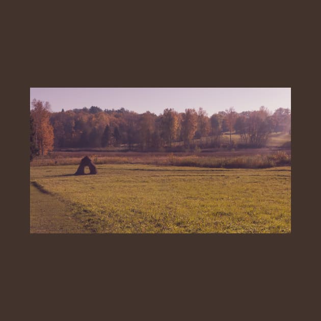 Autumn field with haystack and the wood by lena-maximova