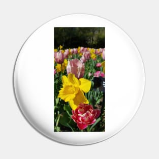 Floralia 1 Mar 2022 Pin