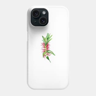 Australian Native Bottlebrush Flower Phone Case