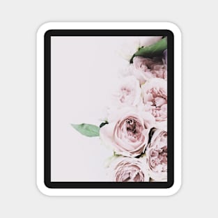 Flowers print, Roses, Pink, Pastel, Fashion print, Scandinavian art, Modern art, Wall art, Print, Minimalistic, Modern Magnet