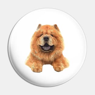 Chow Chow Paws! Pin