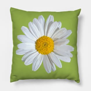 Marguerite on green Pillow