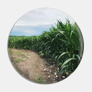 Iowa Cornfields Early Summer Pin