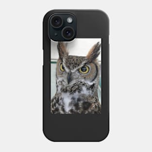 owl bird of prey Phone Case