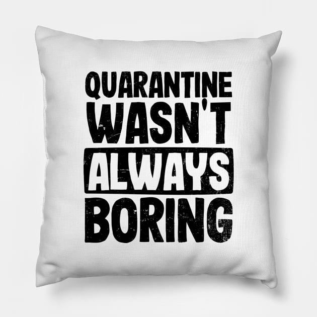 Pregnancy Announcement Shirt | Wasn't Always Boring Gift Pillow by Gawkclothing