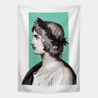 Roman Poet Virgil illustration Tapestry