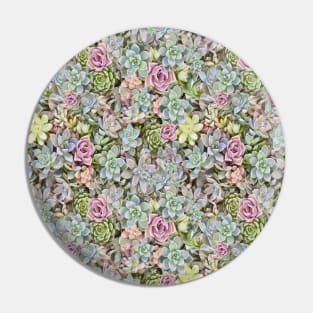 Succulents Pastels Pin