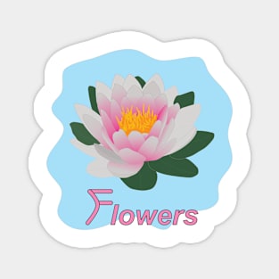 Lotus flower, symbol of purity Magnet