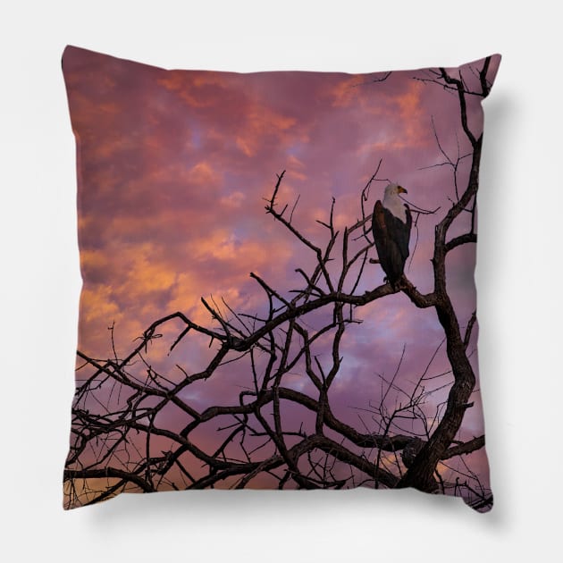 Sunset in Botswana Pillow by Memories4you