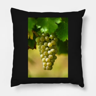 Ripening grapes on the vine Pillow