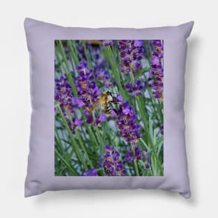 bee on lavender Pillow