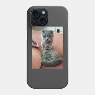 Emma The Cat Phone Case