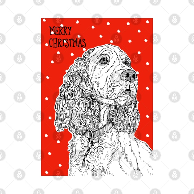 Spaniel Christmas Greeting by AdamRegester