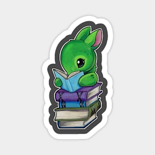 Books and bunny Magnet