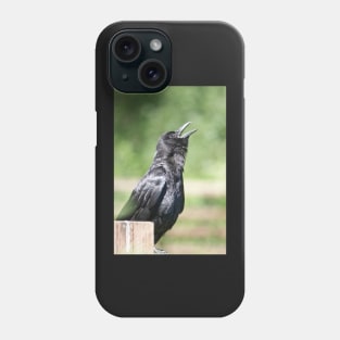 Crow sunbathing Phone Case