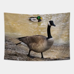 Canada Goose and Mallard Duck At The Beach Tapestry