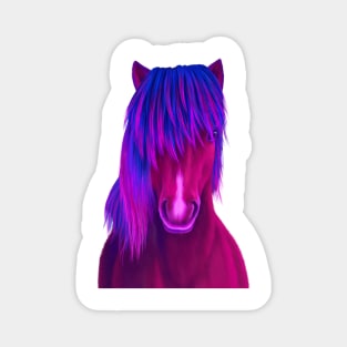 Icelandic Pony Magnet