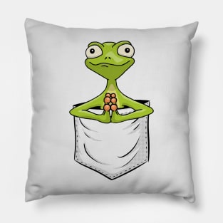 Zen Art Yoga Pose Frog | Gecko Reptile In Pocket Pillow