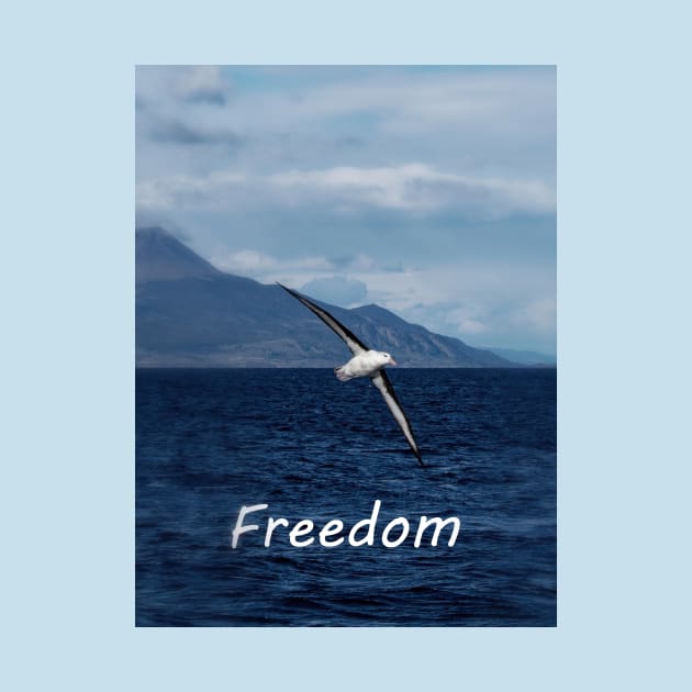 Freedom to wander the ocean by stevepaint