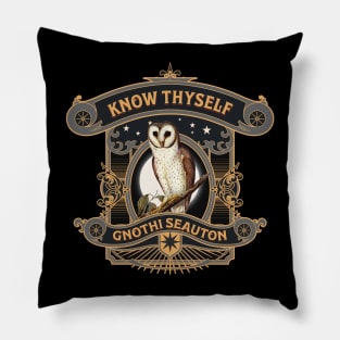 Mystic Owl Know Thyself Pillow