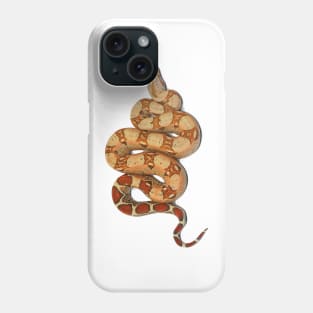 Boa constrictor Phone Case