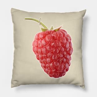 Raspberry Pillow