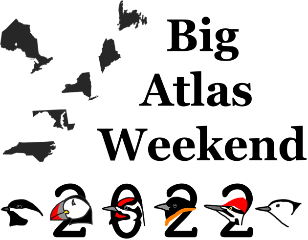 Big Atlas Weekend 2022 Kids T-Shirt by mainebirdatlas