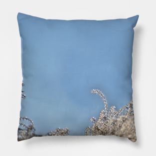 Pampas Grass Head Pillow