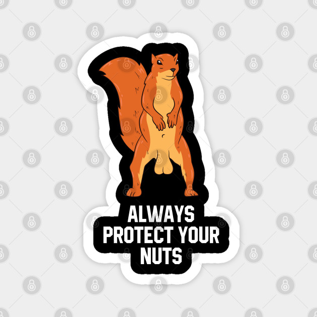 Funny Squirrel Meme Always Protect Your Nuts Squirrel Magnet Teepublic