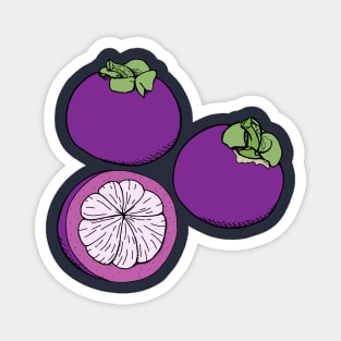 Purple mangosteen fruits Magnet