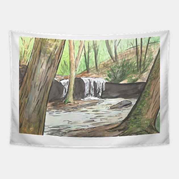 Debord Falls #2 Tapestry by dylanwolf