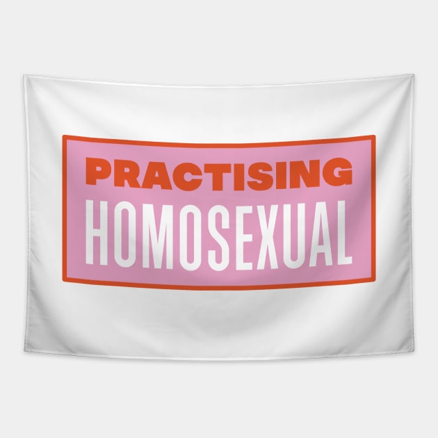 Practising Homosexual - Funny LGBT Meme Tapestry by Football from the Left