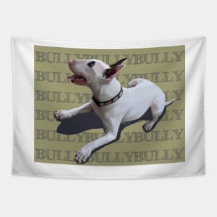 BULLYBULLYBULLY on opaque background Tapestry