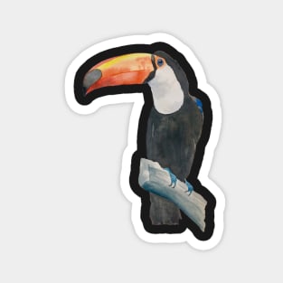 toucan Magnet