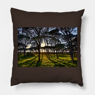 Umbrella pine trees in Strofylia forest Pillow